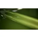 3M Protection Wrap Film PWF-GP246 Gloss Iridescent Emerald Green 1524mm x 22,86m