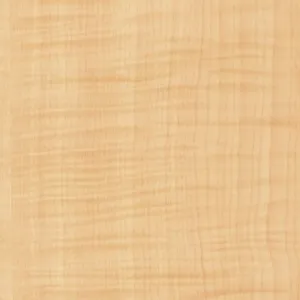 3M WOOD GAIN GLOSS 1,22 X 50M 7000091167
