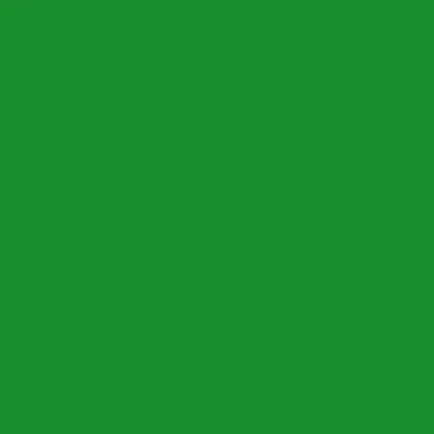 SCOTCHCAL 100/M GREEN
