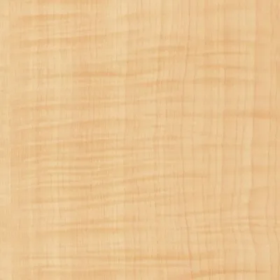 3M WOOD GAIN GLOSS 1,22 X 50M 7000091167